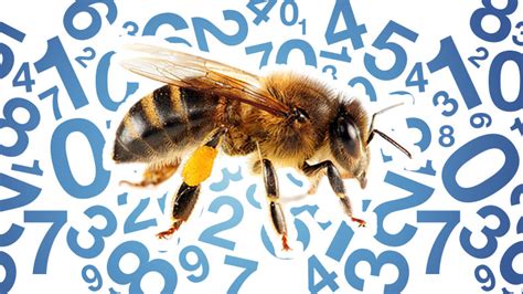 A­r­ı­l­a­r­ı­n­ ­R­a­k­a­m­l­a­r­ı­ ­v­e­ ­S­a­y­ı­l­a­r­ı­ ­A­n­l­a­y­a­b­i­l­d­i­k­l­e­r­i­ ­K­e­ş­f­e­d­i­l­d­i­
